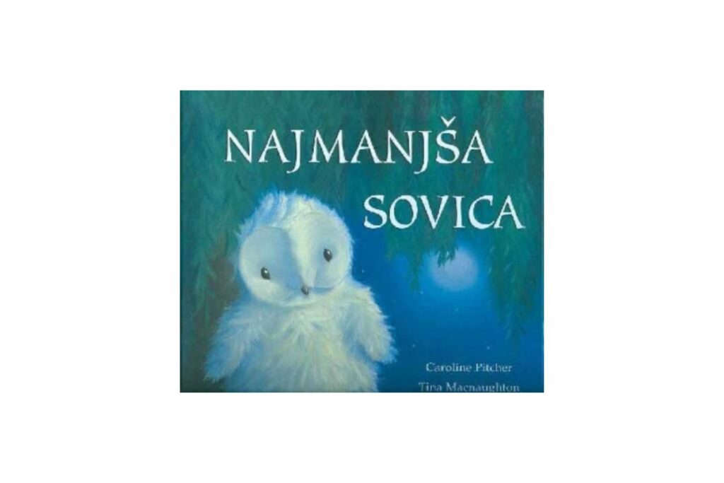 Najmanjša sovica — Catherine Pitcher